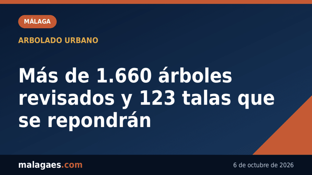 Málaga revisa más de 1.660 árboles de gran porte y repondrá los 123 que ha tenido que talar