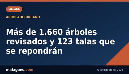 Más de 1.660 árboles revisados y 123 talas que se repondrán — Malagaes.com