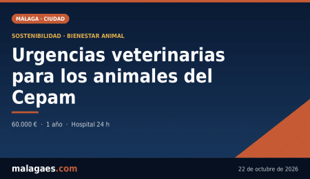 El Ayuntamiento adjudica a SOS Animal las urgencias veterinarias de los animales del centro municipal de protección