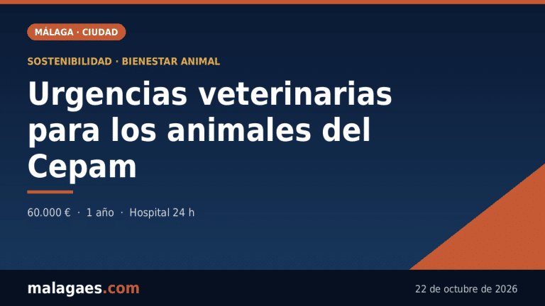 El Ayuntamiento adjudica a SOS Animal las urgencias veterinarias de los animales del centro municipal de protección