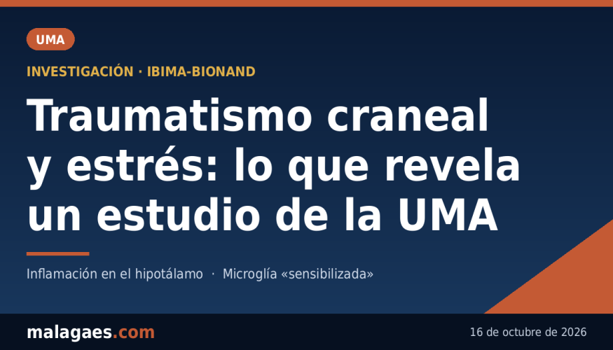 Un estudio de la UMA relaciona los traumatismos craneales con una mayor sensibilidad al estrés